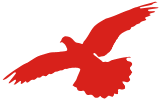 “弘扬雷锋精神 普及惠民知识”志愿服务活动