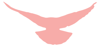 “弘扬雷锋精神 普及惠民知识”志愿服务活动