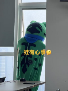 听取“蛙”声一片